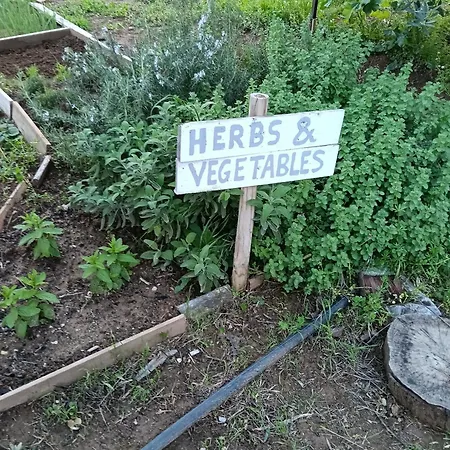 Elizabeth's Apartment1 Apartamento