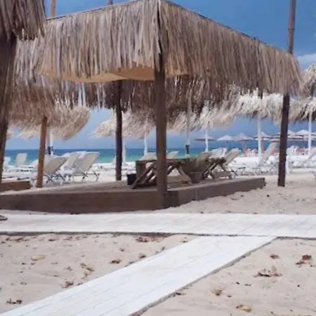 Elizabeth's Apartment1 * Ofrínio