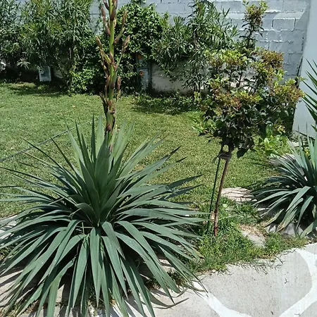 Elizabeth's Apartment1 * Ofrínio