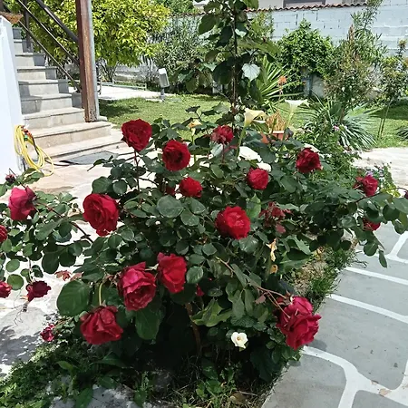 Apartman Elizabeth's Apartment1 Ofrínio