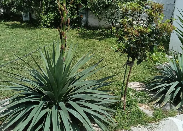 Elizabeth's Apartment1 * Ofrínion