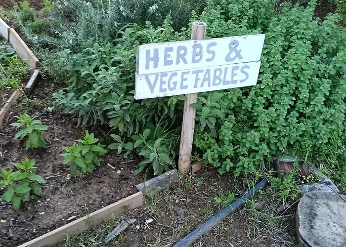 Elizabeth's Apartment1 公寓