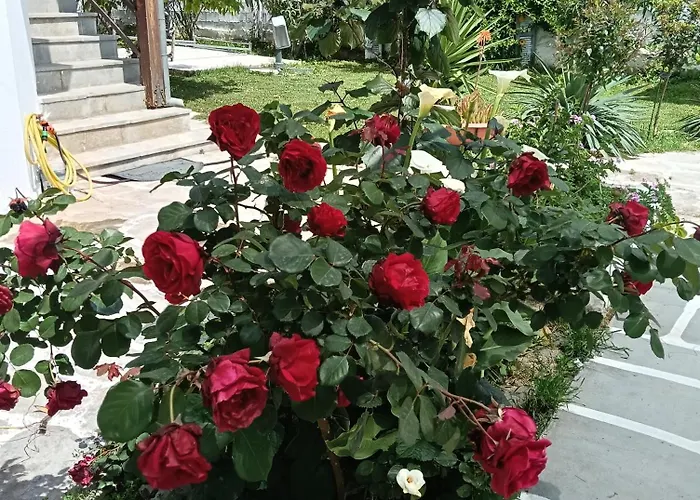 公寓 Elizabeth's Apartment1 Ofrínion